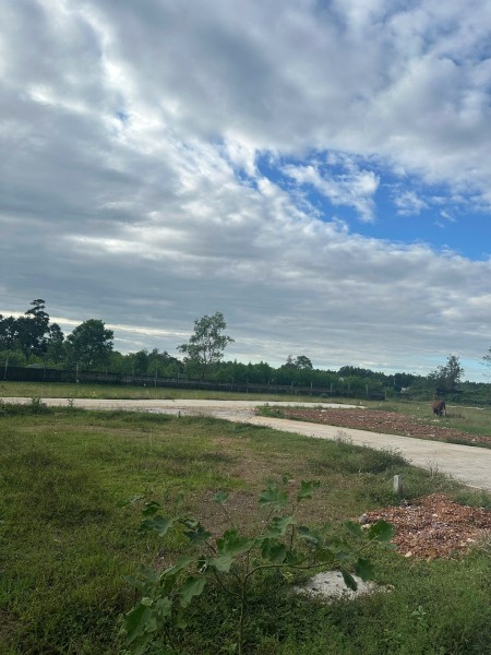  CƠ HỘI SỞ HỮU ĐẤT DẠ LÊ – GIÁ TỐT, PHÁP LÝ RÕ RÀNG, AN CƯ LÝ TƯỞNG! 