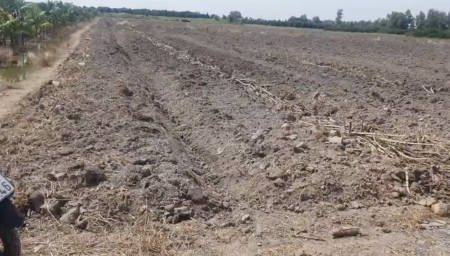 Ảnh 2 - Chính chủ bán Đất Trồng Cây 1000m2 mặt tiền 12m gần DT818…