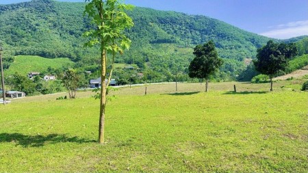 19.000M² – TÂN THÀNH, LƯƠNG SƠN, HÒA BÌNH