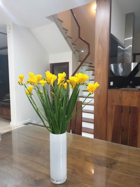 CHO THUÊ BIỆT THỰ SONG LẬP LÀNG VIỆT KIỀU CHÂU ÂU – VỊ TRÍ VƯỜN HOA – VỈA HÈ RỘNG – DT 151M – MT 9M