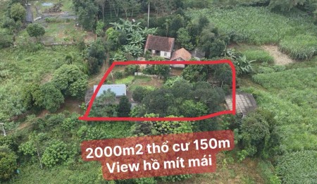 ️ GIAO BÁN LÔ ĐẤT SIÊU PHẨM 2000m² TẠI XÃ YÊN BÁI - BA VÌ 
