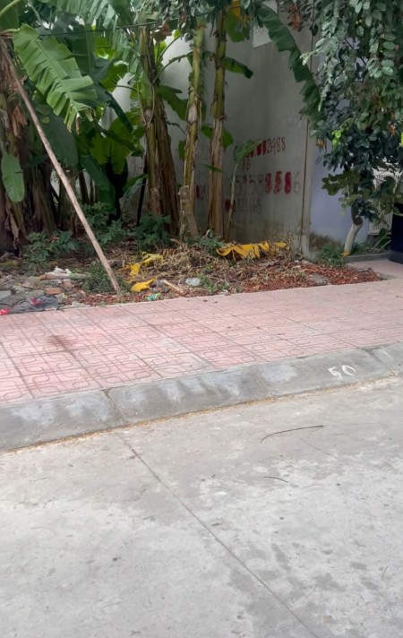 Bán đất 100m2 Vân Tra An Dương Hải Phòng