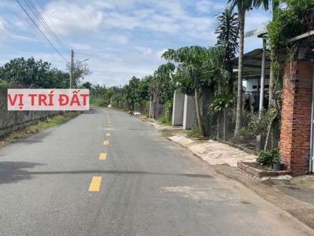 Đất mặt tiền đường nhựa có sẵn vườn bưởi tại Trừ Văn Thố Bàu Bàng Bình Dương