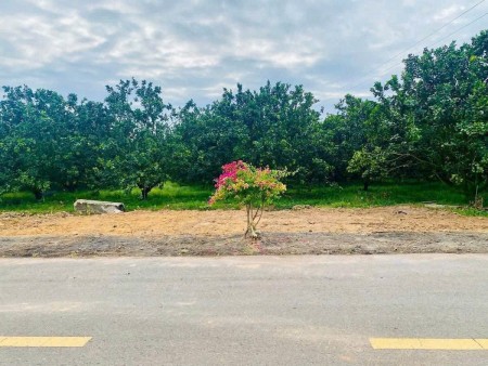 CẢNH BÁO: AI ĐỌC ĐƯỢC BÀI NÀY LÀ CÓ DUYÊN VỚI ĐẤT