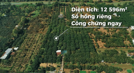 Đi đến slide 12