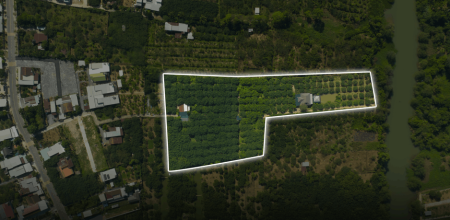  [CHÍNH CHỦ] Tìm người có duyên với mảnh vườn gần 1.3 héc-ta view sông Đồng Nai (Tân Triều)