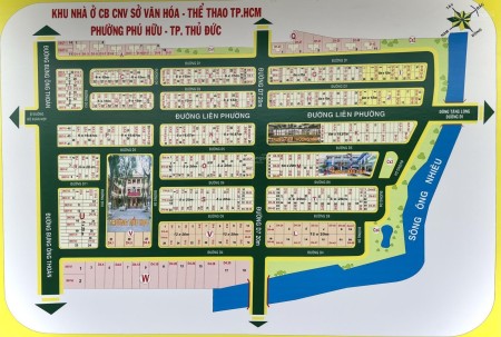 Chuyên bán đất nền dự án Sở Văn Hóa, P. Phú Hữu, TP. Thủ Đức, giá tốt nhất 2026