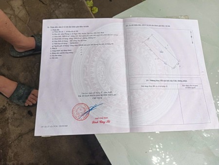 Cần bán gấp lô đất 1695.8m2 tại khu vực Ngọc Mỹ - Tân Lạc - Hòa Bình