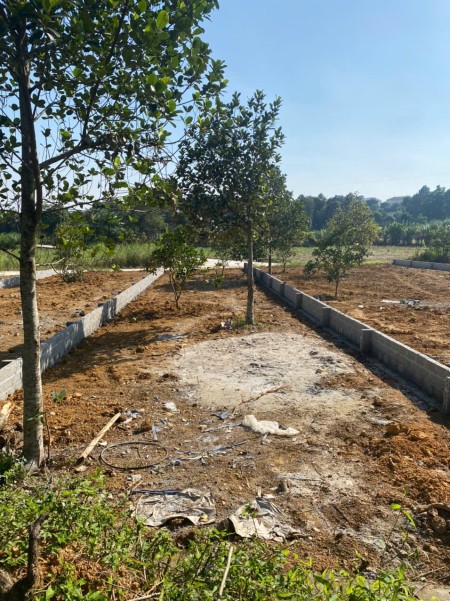 Đất siêu đẹp giá rẻ tại Vân Hoà, Ba Vì, Hà Nội