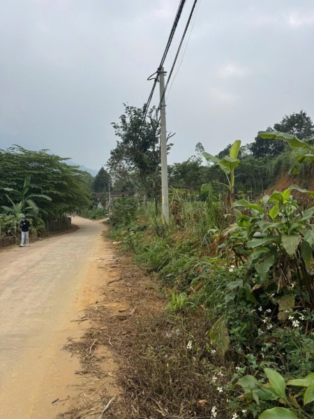 Bán đất sổ đỏ ở Minh Quang, Ba Vì, Hà Nội diện tích 1080m2 giá 3,25 tỷ