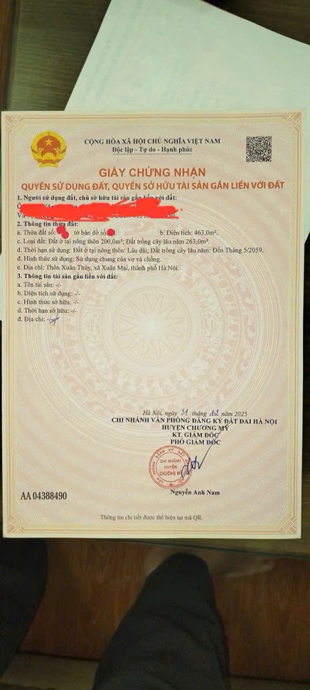 Ảnh 4 - Siêu Phẩm 463m² Trung Tâm Xuân Mai – Lô Góc – Đường Ô Tô…