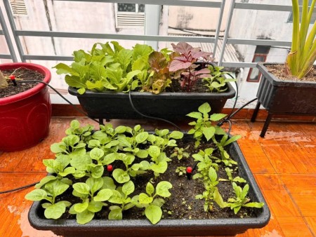 Nhà nguyên căn 75m2 cuối Pasteur Q.3, full nội thất, 16 triệu/tháng