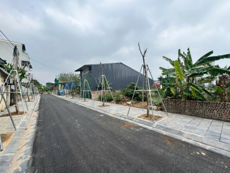 Bán Đất Kinh Doanh 114m2 Làn 2 Biệt Thự Nguyên Khê Giá Hơn 90tr LH 0982476091