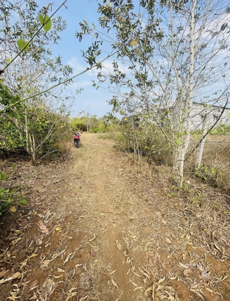 1 sào đất tại phường Long Khánh (Bàu Trâm cũ), Tỉnh Đồng Nai