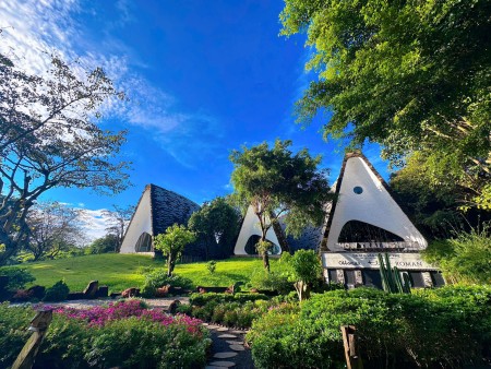 Nhà phố view trường học. trả trước 10% kí ngay HĐMB Thành phố cà phê