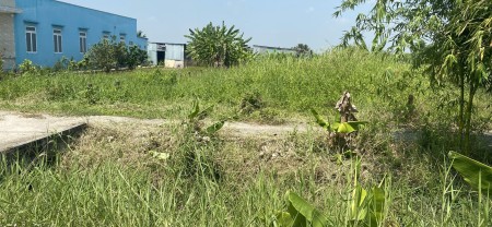  BÁN GẤP LÔ ĐẤT MẶT TIỀN LỘ ĐÌNH - 350M2 FULL THỔ CƯ - LÝ TƯỞNG ĐỂ LÀM NHÀ VƯỜN 