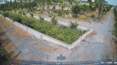 Bán Nhà Vườn 12.000m2, Giá 31 Tỷ, Kênh 12, Xã Lê Minh Xuân Bình Chánh TPHCM