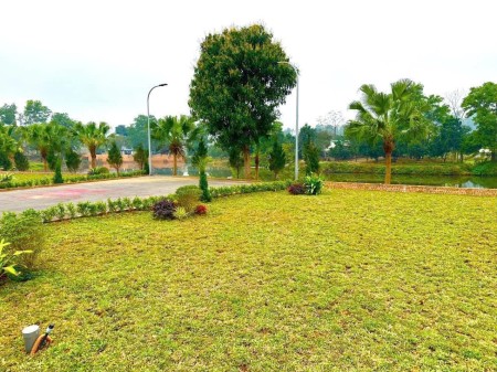 Chính Chủ Cần Bán Gấp Full Thổ Sơn Đông- Sơn Tây