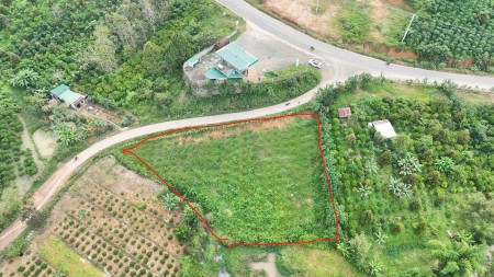 7x30m2 có 195m2 thổ cư mt đường bê tông Di Linh 450tr sổ riêng