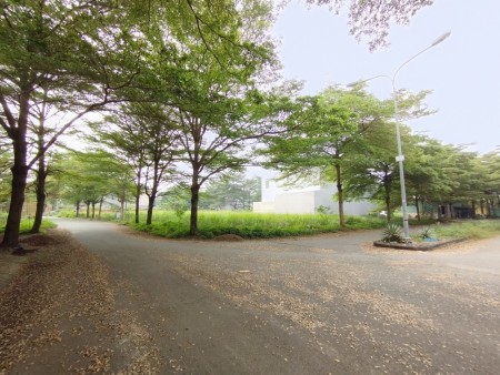 Tổng hợp giỏ hàng gía tốt 4/2026 đất nền Thời báo kinh tế Sài Gòn,Bưng Ông Thoàn, Quận 9