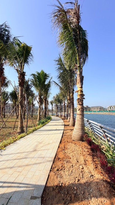 12 căn biệt thự ven hồ 1,3 hecta