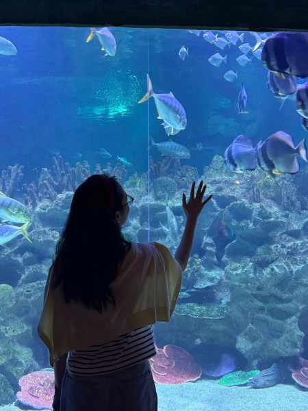 Nguyễn Diệp Bảo Châu