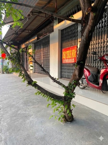 Cho thuê nhà mặt phố làm kho - xưởng - nhà ở tại Hóc Môn 200m2, giá cực chất (có thương lượng)