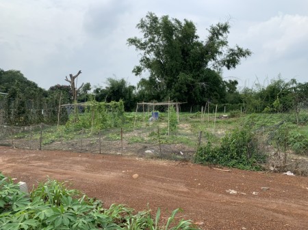 [CHÍNH CHỦ] Cần bán đất xã Láng Dài, Đất Đỏ, Bà Rịa - Vũng Tàu; 1,3 triệu/m2(1000m2)