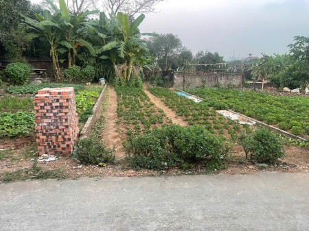 BÁN ĐẤT CHÍNH CHỦ – SÓC SƠN, HÀ NỘI