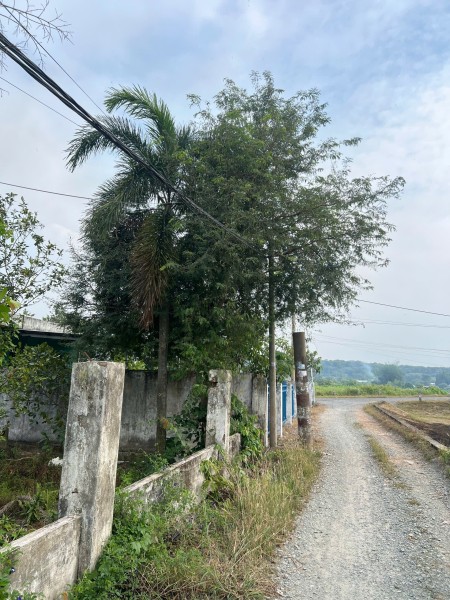 Ảnh 2 - bán lô đất chính chủ cầu cây xanh đường bình mỹ củ chi…