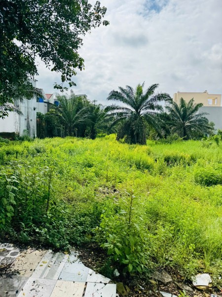 Bán đất mặt tiền đường Thới Tam Thôn Tô Ký, 35x150 vuông vức 13tr/m2