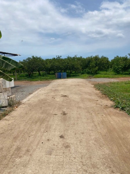Đi đến slide 6