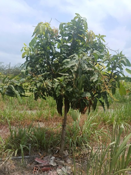 Đi đến slide 9