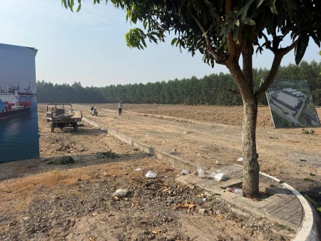 Đi đến slide 6
