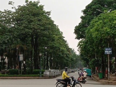 Đi đến slide 16