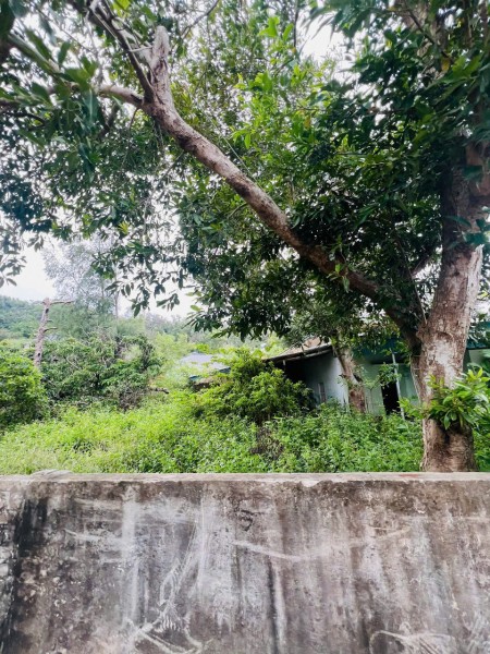  CHÍNH CHỦ BÁN 781,4 M ĐẤT TRUNG TÂM TT CÔ TÔ – QUẢNG NINH 