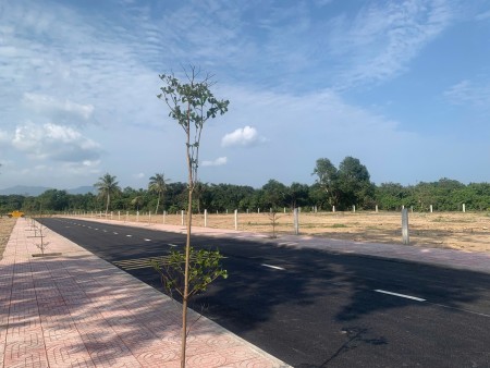 100% thổ cư, chỉ từ 8,5tr/km² bạn đã sở hữu 1 ô tại trung… - Ảnh 3