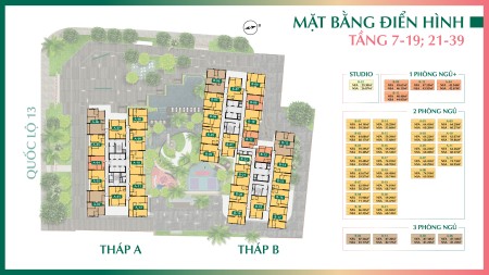 Đi đến slide 11