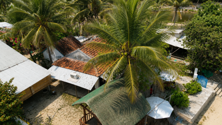 Đi đến slide 11