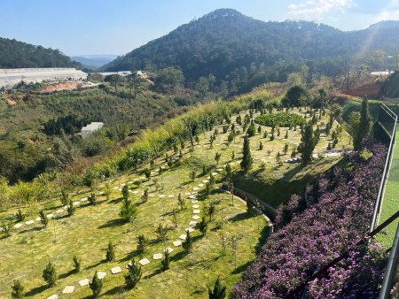 Bán gần 4000m đất view đẹp tại Hùng Vương Giáp rừng thông xanh mát . phù hợp mua đầu tư sinh lời cao