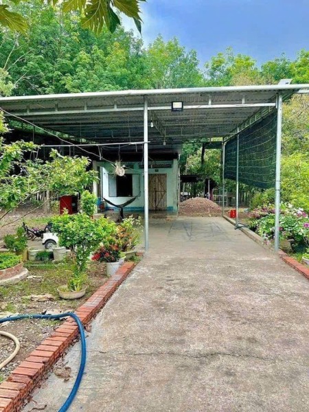 Cần bán nhanh nhà vườn 1000m2 đang ở sẵn thổ cư Sổ riêng giá 450 triệu