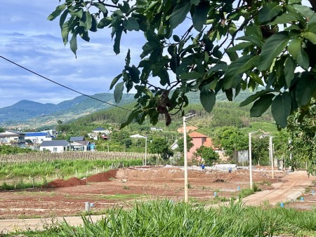 BÁN ĐẤT VEN ĐÀ LẠT GIÁ RẺ , FULL THỔ CƯ GIÁ 1 TỶ 350