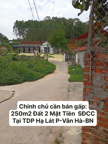 Chính chủ Cần Bán Gấp Đất 2 Mặt Tiền 250m² – Chia 2 Lô Đẹp, Đầu Tư Sinh Lời Cao