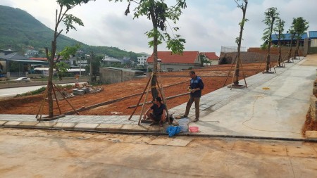 Đi đến slide 5