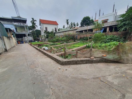 Bán 48m đất xen kẹt siêu đẹp xã Đại Thanh, ngõ rộng, vị trí đẹp