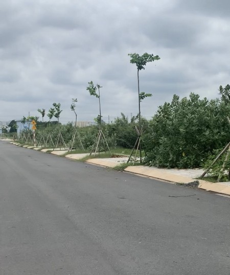 Đi đến slide 8