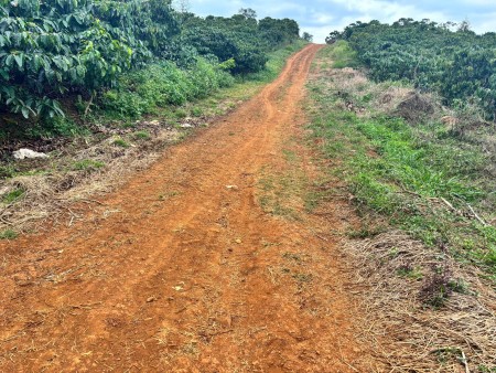 Đất Di Linh. 1000m2 có cà phê, có điện,đường ô tô. Giá…