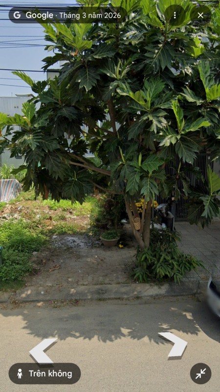 Đi đến slide 6