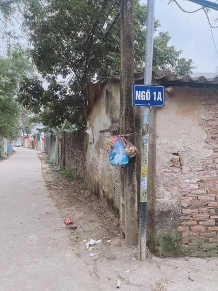 NHÀ MỚI KÍNH KOONG – ĐÓN CHỦ MỚI