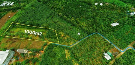 1.000m² đất vườn đẹp – Xã Gia Kiệm, Đồng Nai – Chỉ 900 triệu
